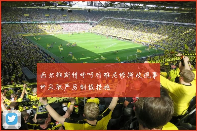 西尔维斯特呼吁对维尼修斯歧视事件采取严厉制裁措施