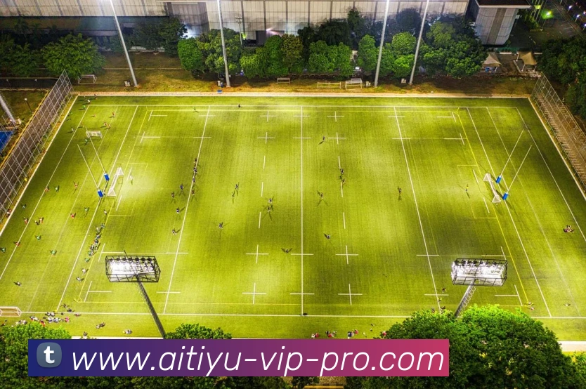 欧宝体育发展历程